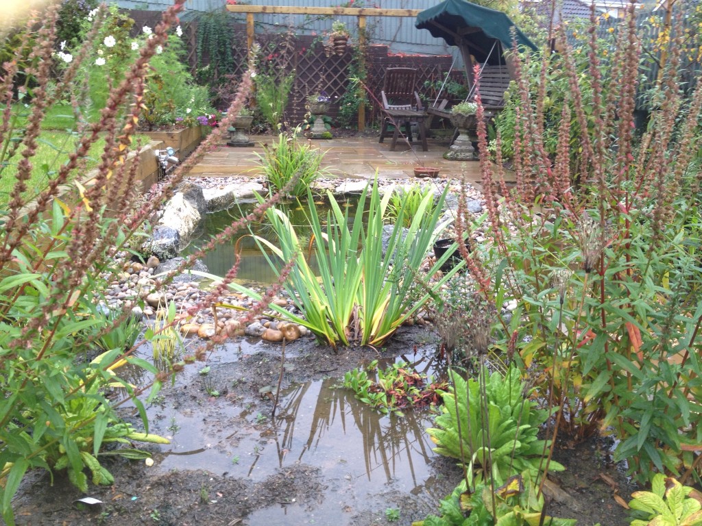 bog garden