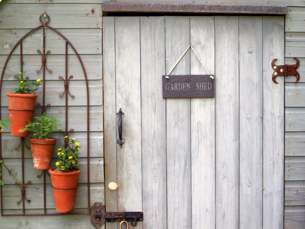 Grey timber garden shed door with potted plants.